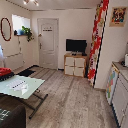 Studio Cosy Tout Confort Gaillac Centre. Экстерьер фото
